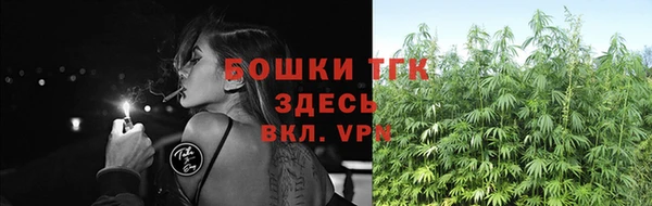 не бодяженный Бородино