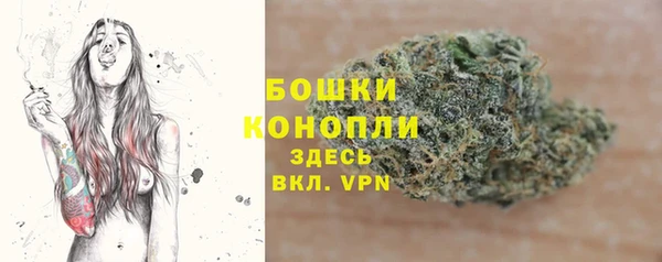 дурь Бронницы