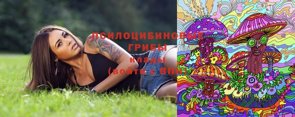 не бодяженный Бородино