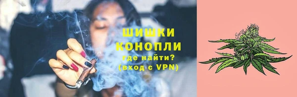 дурь Бронницы