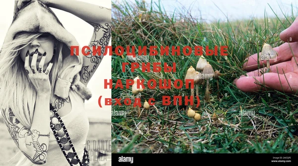 не бодяженный Бородино