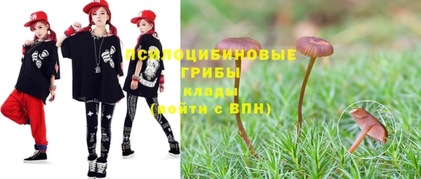 дурь Бронницы