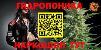 метадон Гатчина