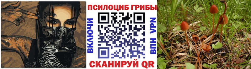 как найти наркотики Десногорск Галлюциногенные грибы прущие грибы