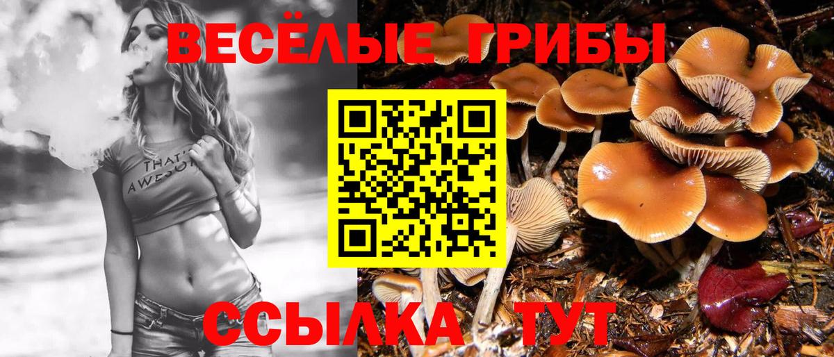 Псилоцибиновые грибы MAGIC MUSHROOMS Десногорск